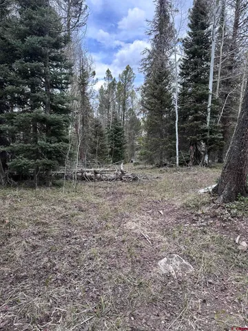 a view of outdoor space with trees