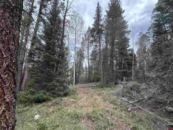 a view of outdoor space and trees
