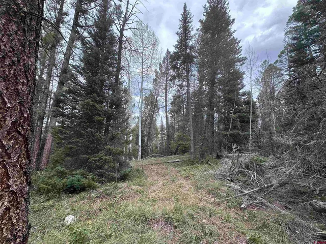 a view of outdoor space and trees