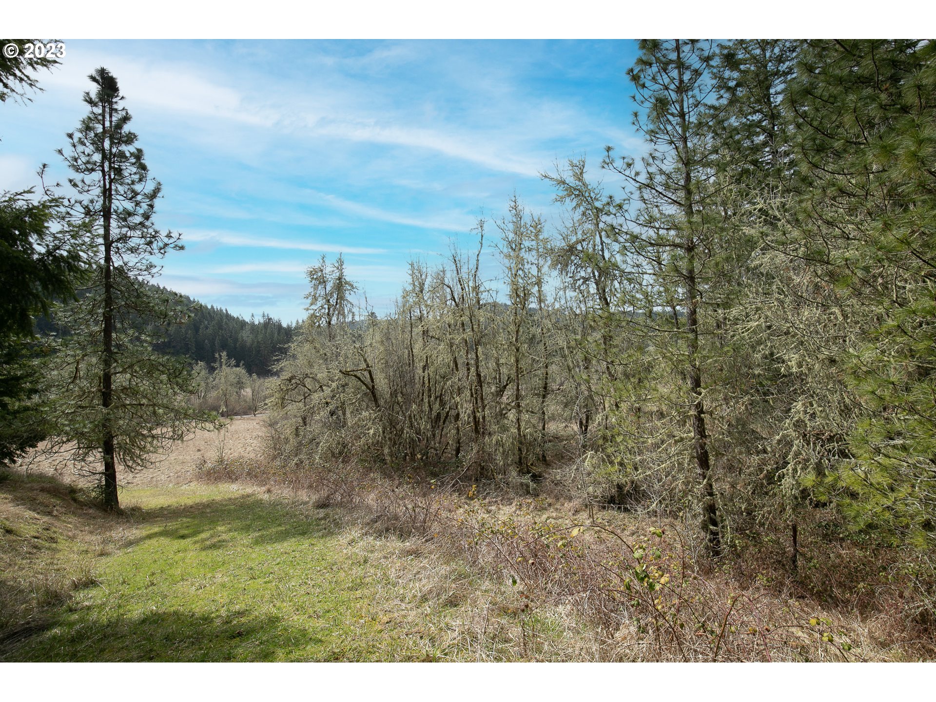 28983 Fox Hollow Road Eugene, OR 97405 - Photo 17 of 20 Gallery Image 17