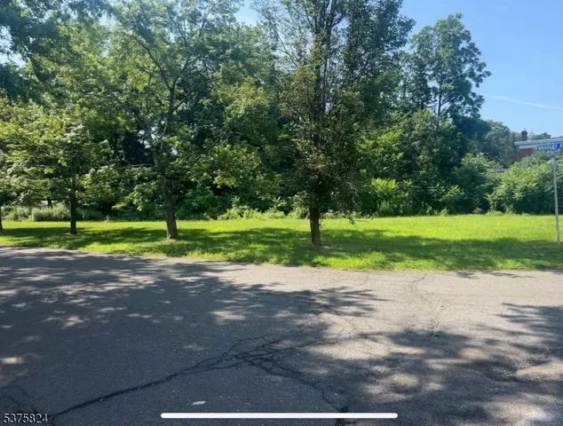 a view of a park with tree s