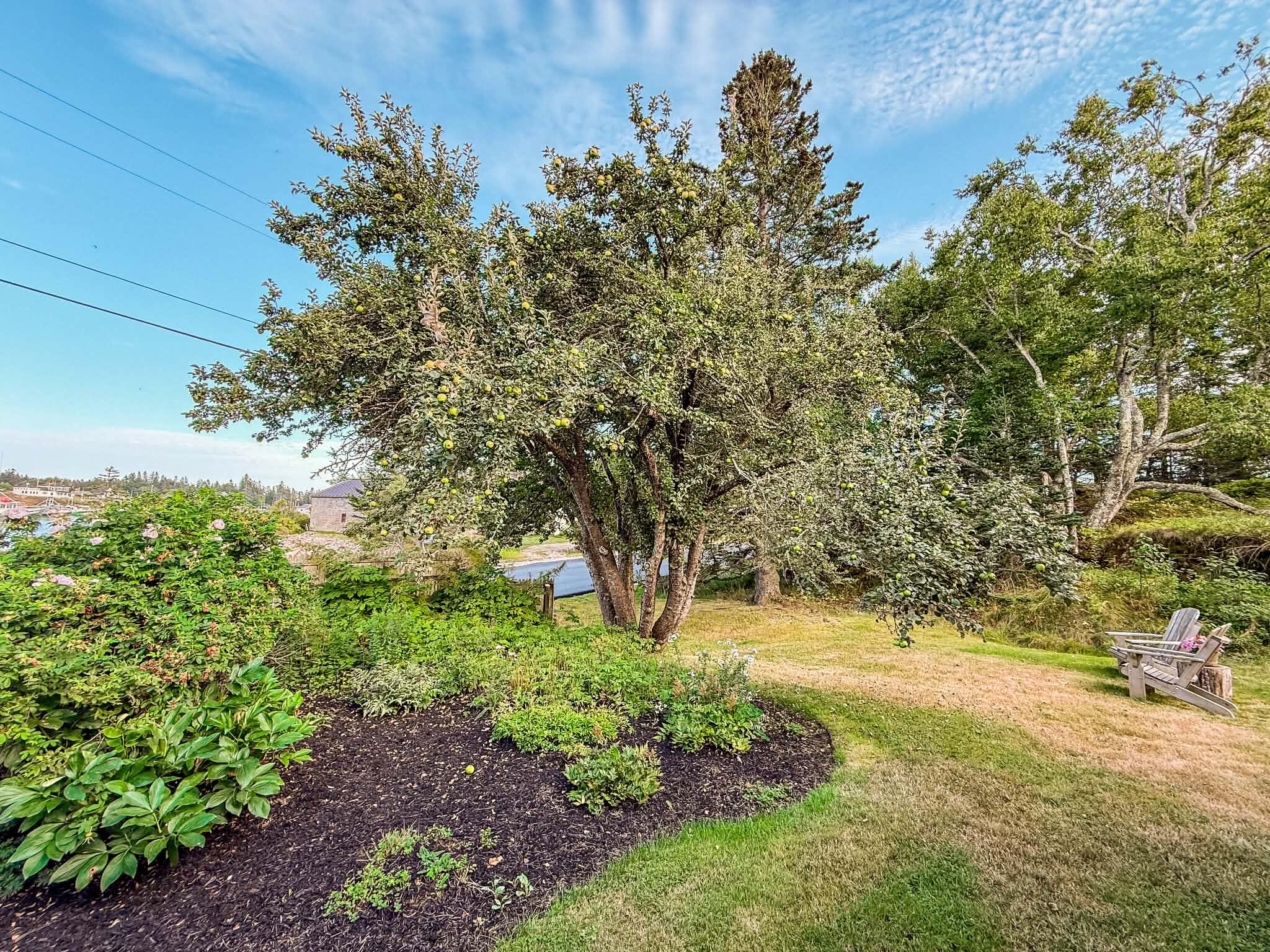 665 Corea Road Gouldsboro, ME 04624 - Photo 50 of 77 4aa9ba68-f58a-466d-82d9-0ad5cc476711