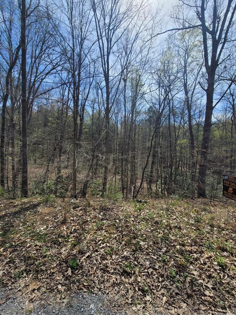 31 Butternut Lane Sevierville, TN 37876 - Photo 19 of 20