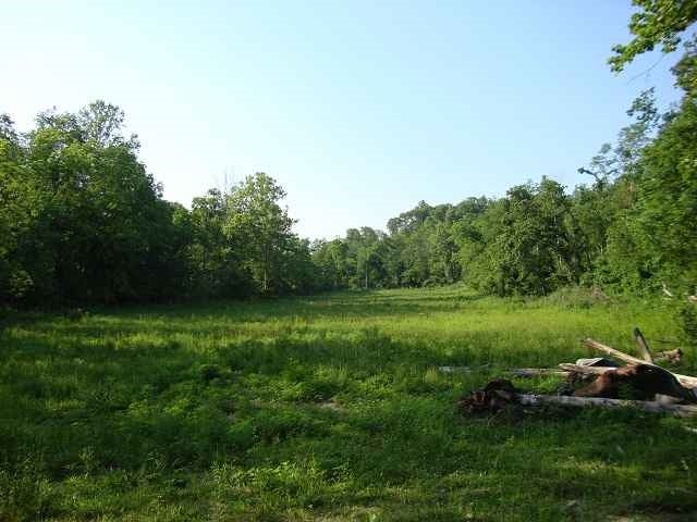 0 Hadley Cohron Road Bowling Green, KY 42101 - Photo 4 of 14 Gallery Image 4