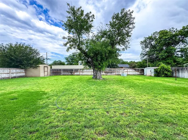 a view of a yard with a large tree and wooden fence