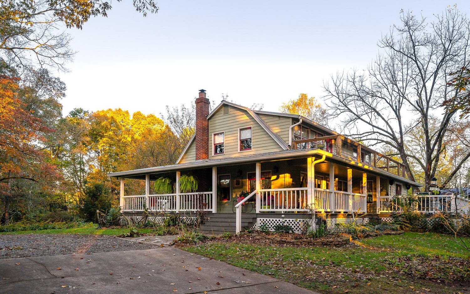 Main View