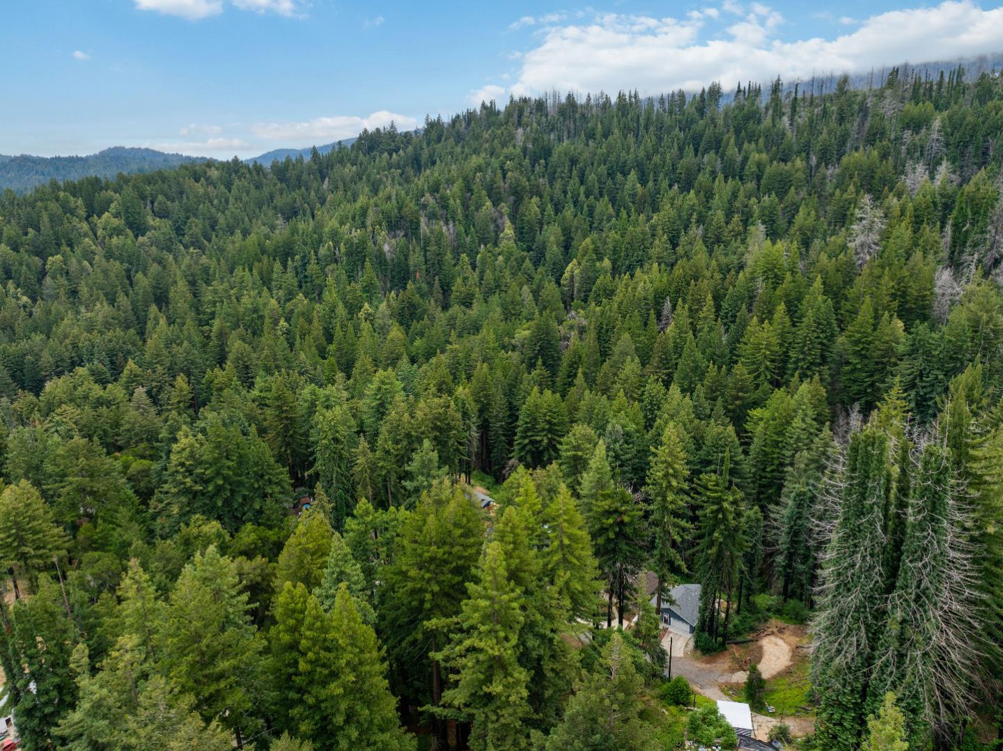 1131 Rambling Road Boulder Creek, CA 95006 - Photo 20 of 22
