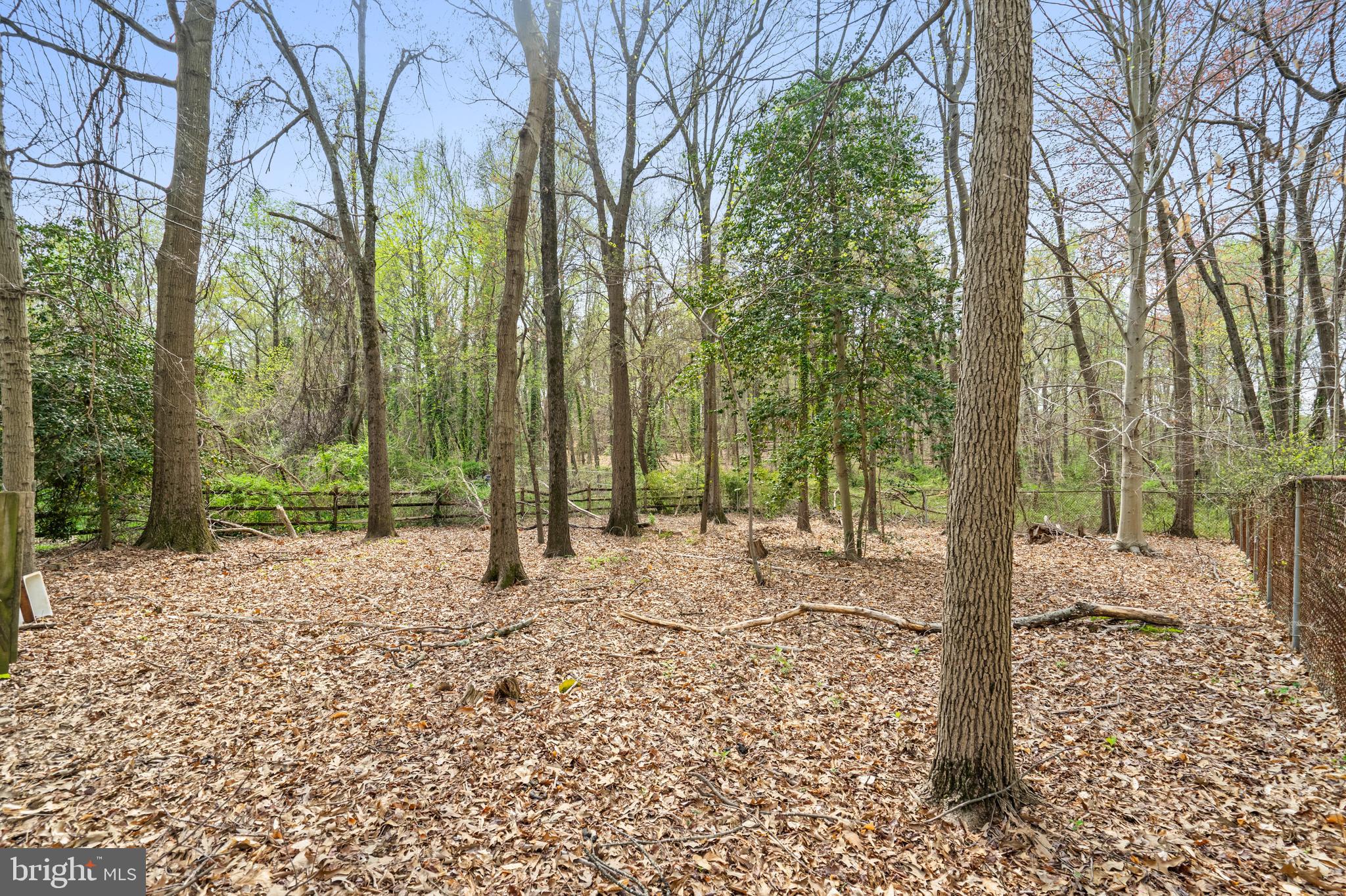 3622 Becherer Road Alexandria, VA 22309 - Photo 29 of 30