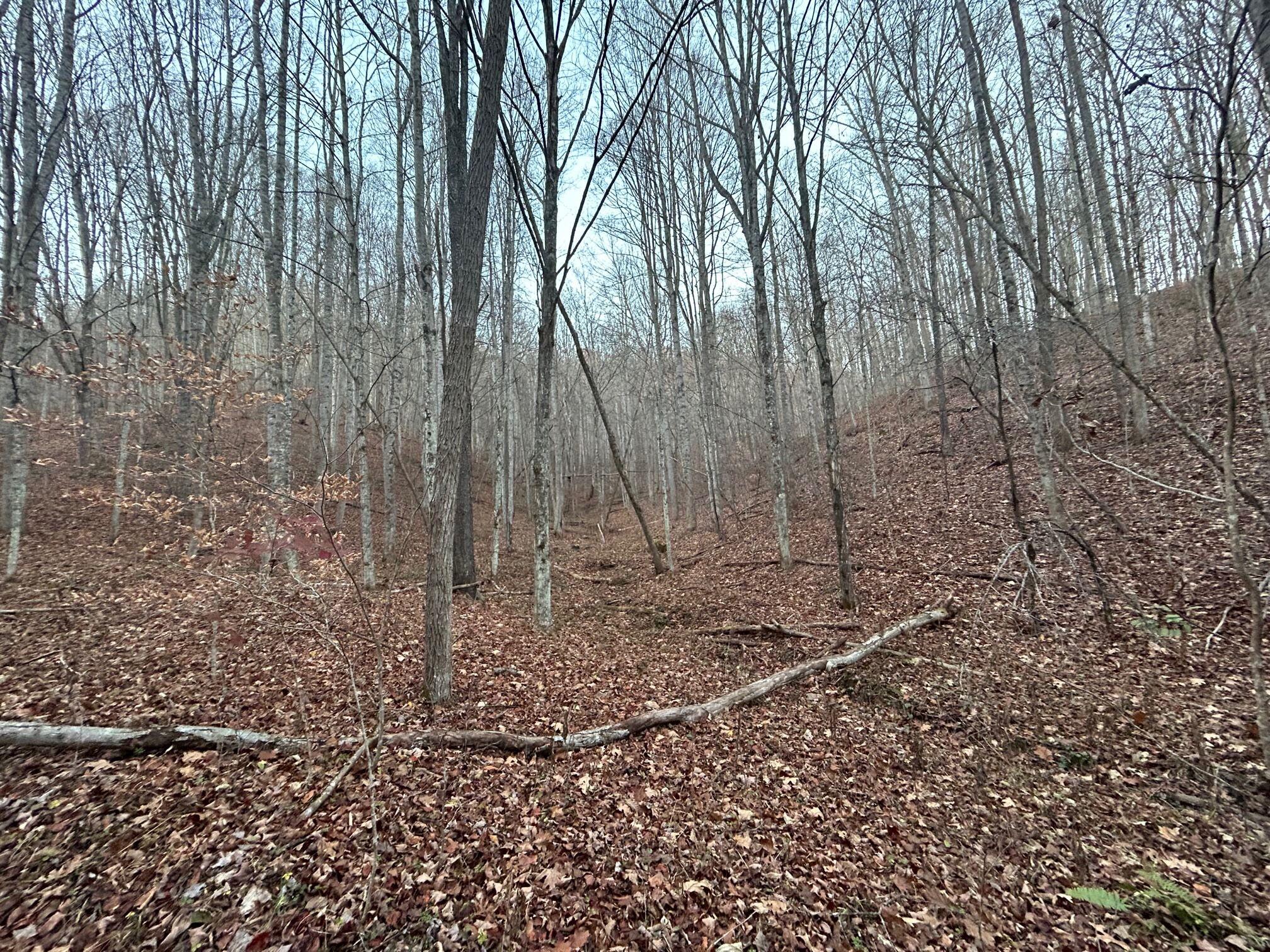 Dale Hollow Road Renick, WV 24966 - Photo 9 of 17 Gallery Image 9