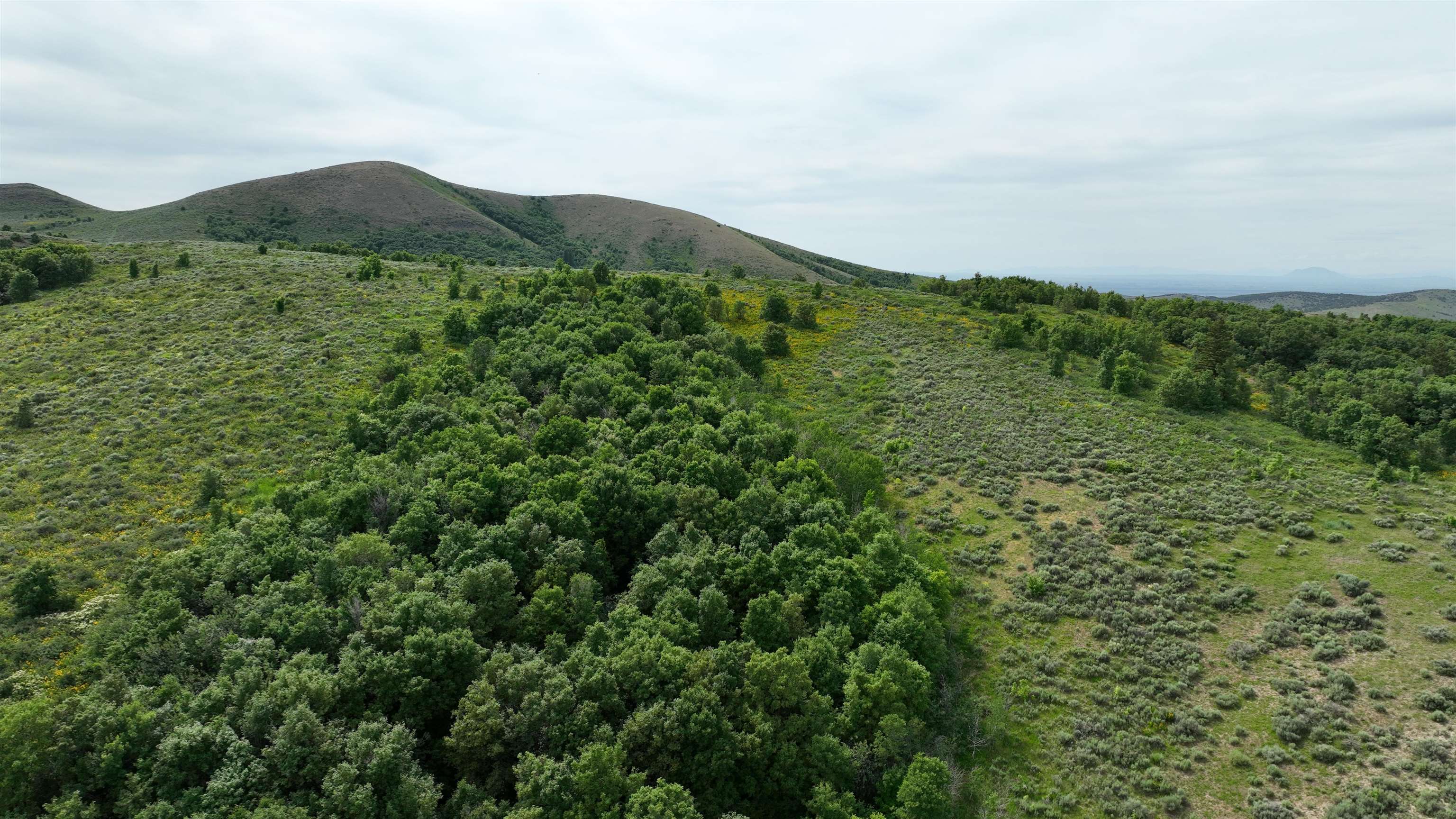 West Buckskin Road Pocatello, ID 83201 - Photo 15 of 41 Gallery Image 15