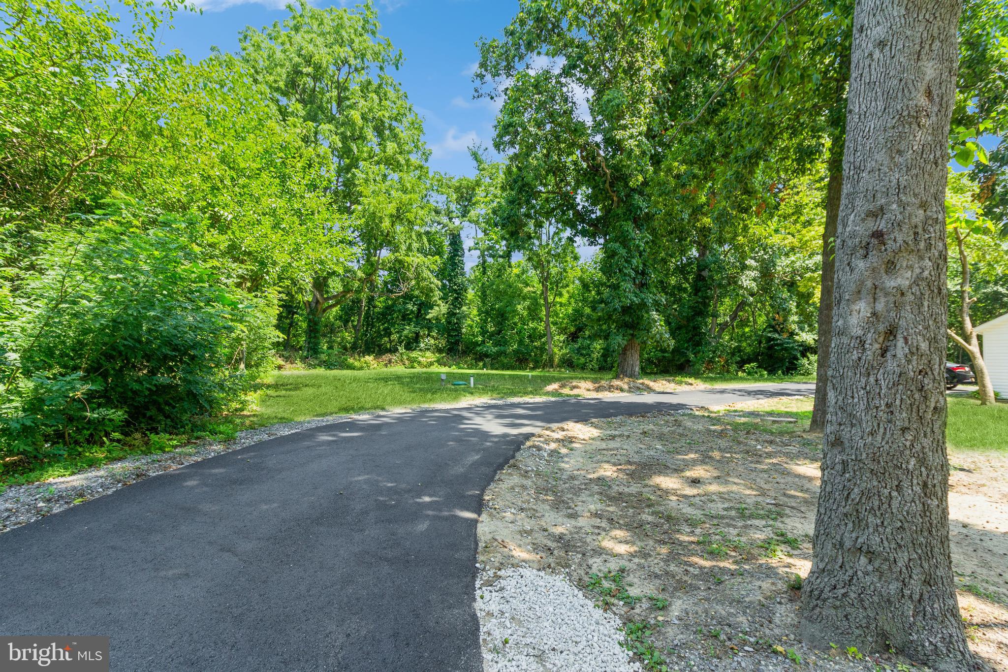 229 Shoemaker Road Bridgeton, NJ 08302 - Photo 27 of 29 a view of a yard with a tree