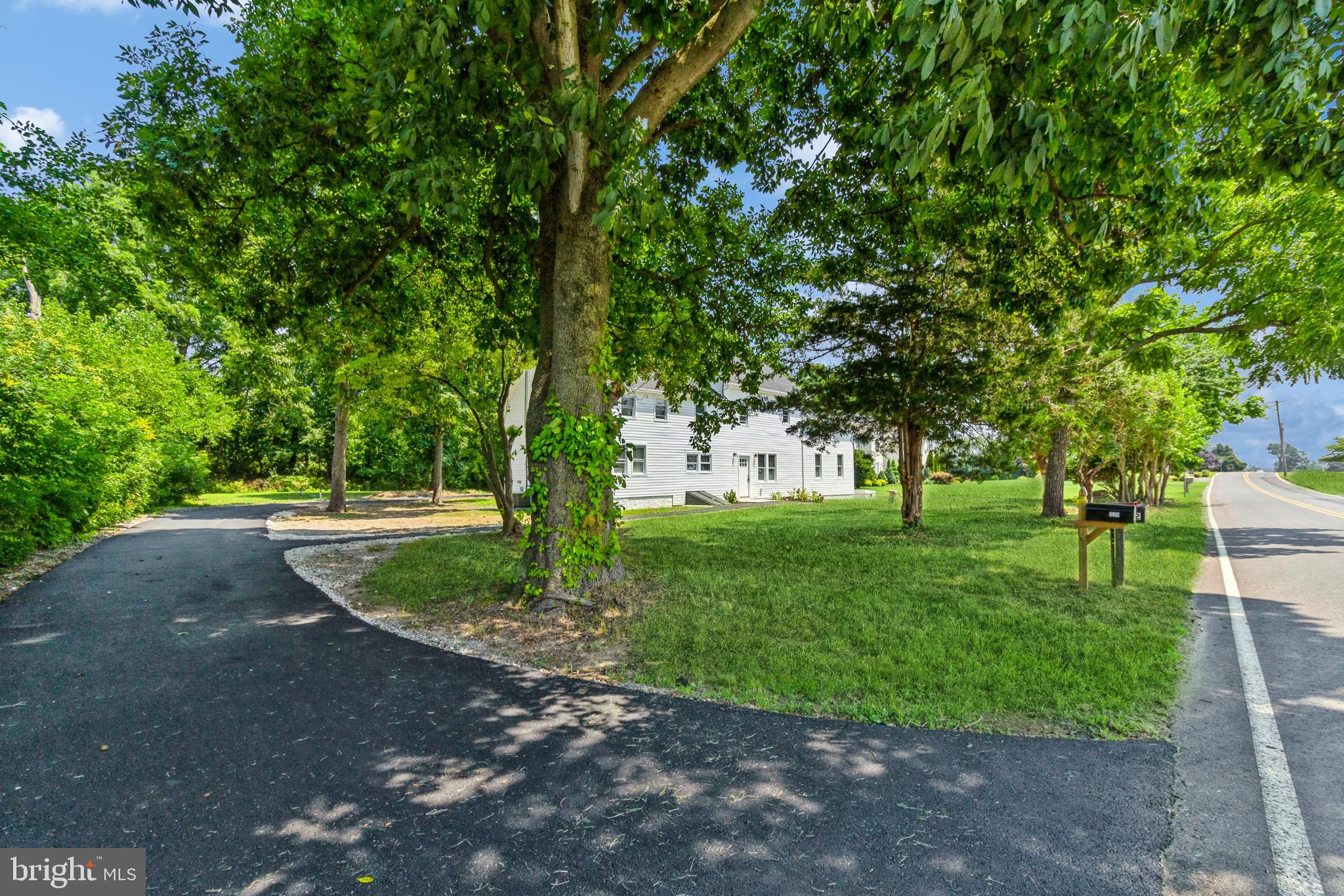 229 Shoemaker Road Bridgeton, NJ 08302 - Photo 29 of 29 a view of a park with a tree