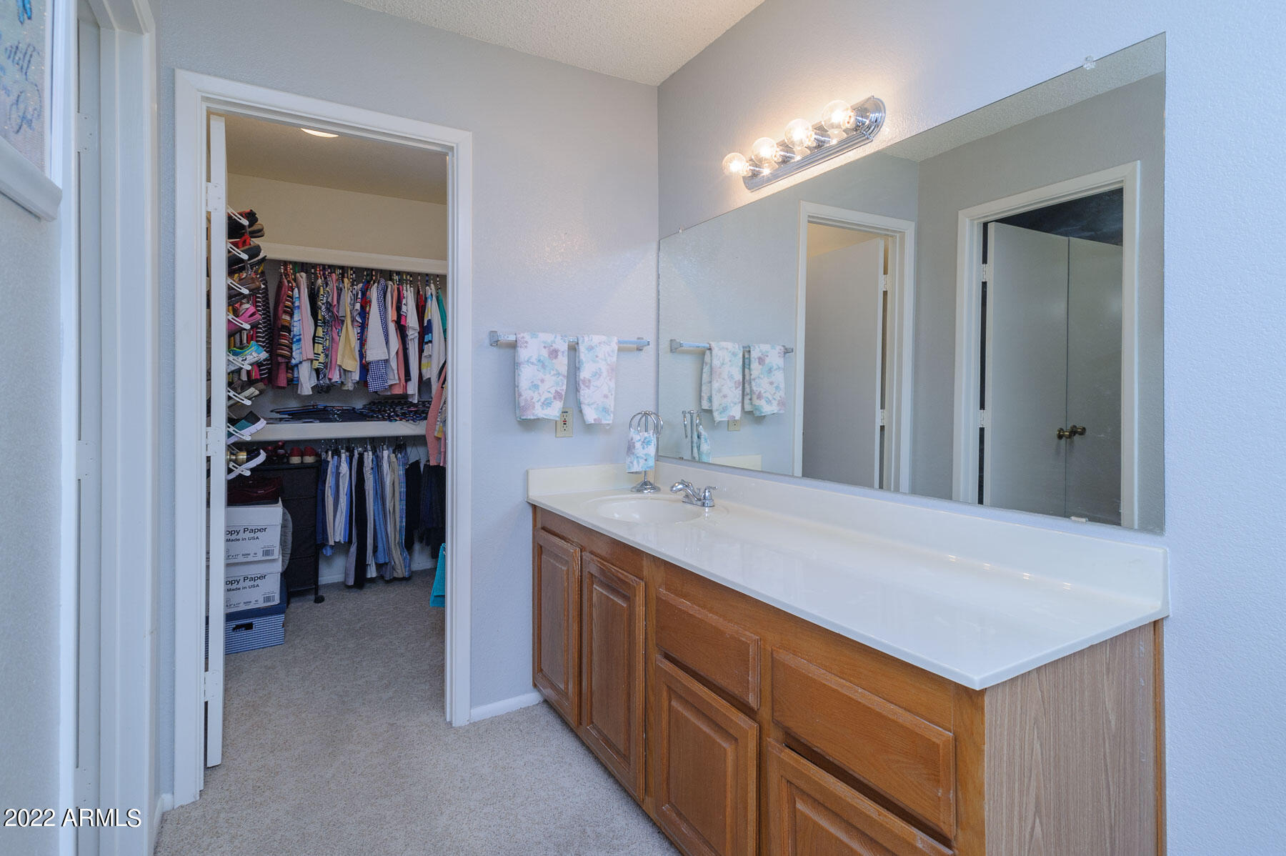 14300 West Bell Road, Unit 436 Surprise, AZ 85374 - Photo 14 of 24 Master Bath Vanity