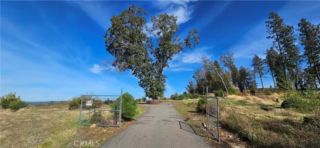 a view of a yard with a tree