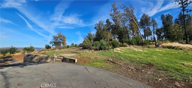 a view of a field with a tree