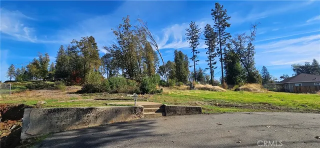 a view of a yard with large trees