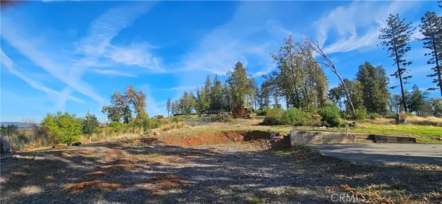 a view of a yard with swimming pool