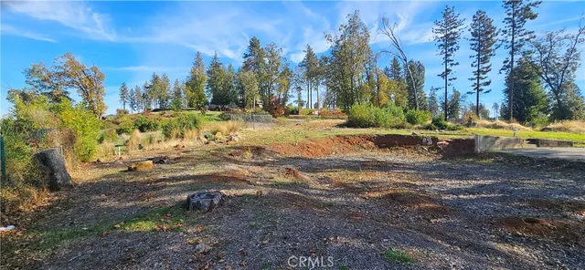 a view of a yard with swimming pool