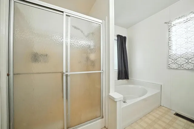 a view of a backyard with plants and large trees