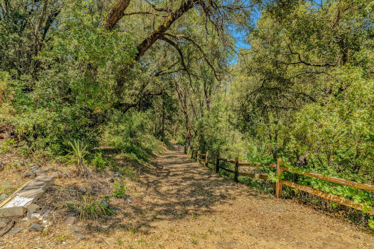 16000 Sutter Creek Road Sutter Creek, CA 95685 - Photo 44 of 80 a view of a forest with a tree