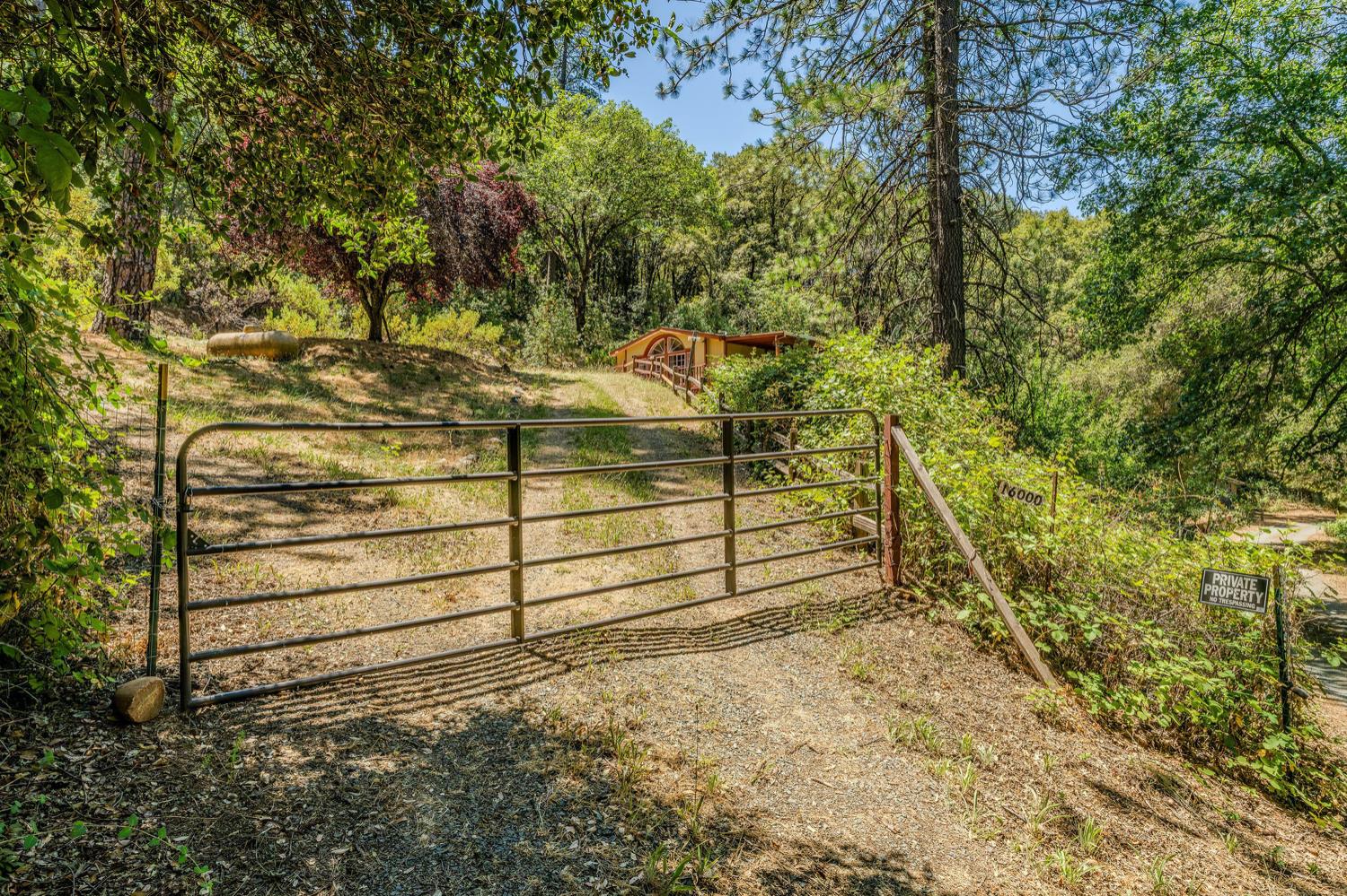 16000 Sutter Creek Road Sutter Creek, CA 95685 - Photo 47 of 80 a view of a backyard of the house