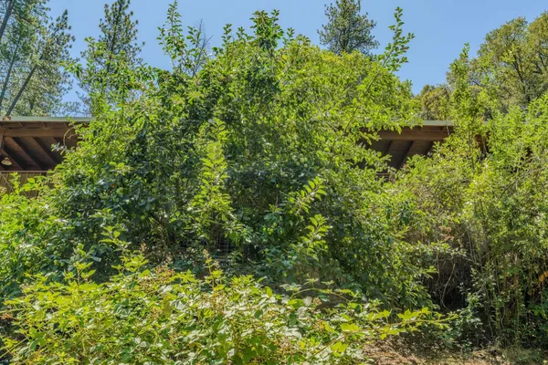 $499,999 | 16000 Sutter Creek Road, Sutter Creek, CA 95685