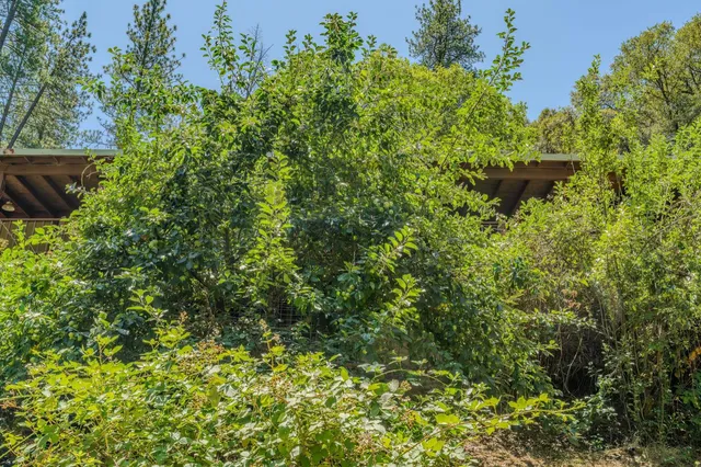 $499,999 | 16000 Sutter Creek Road, Sutter Creek, CA 95685