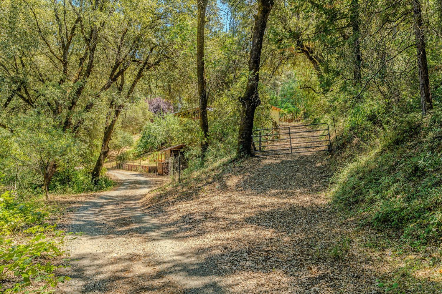 16000 Sutter Creek Road Sutter Creek, CA 95685 - Photo 53 of 80 a view of outdoor space and yard