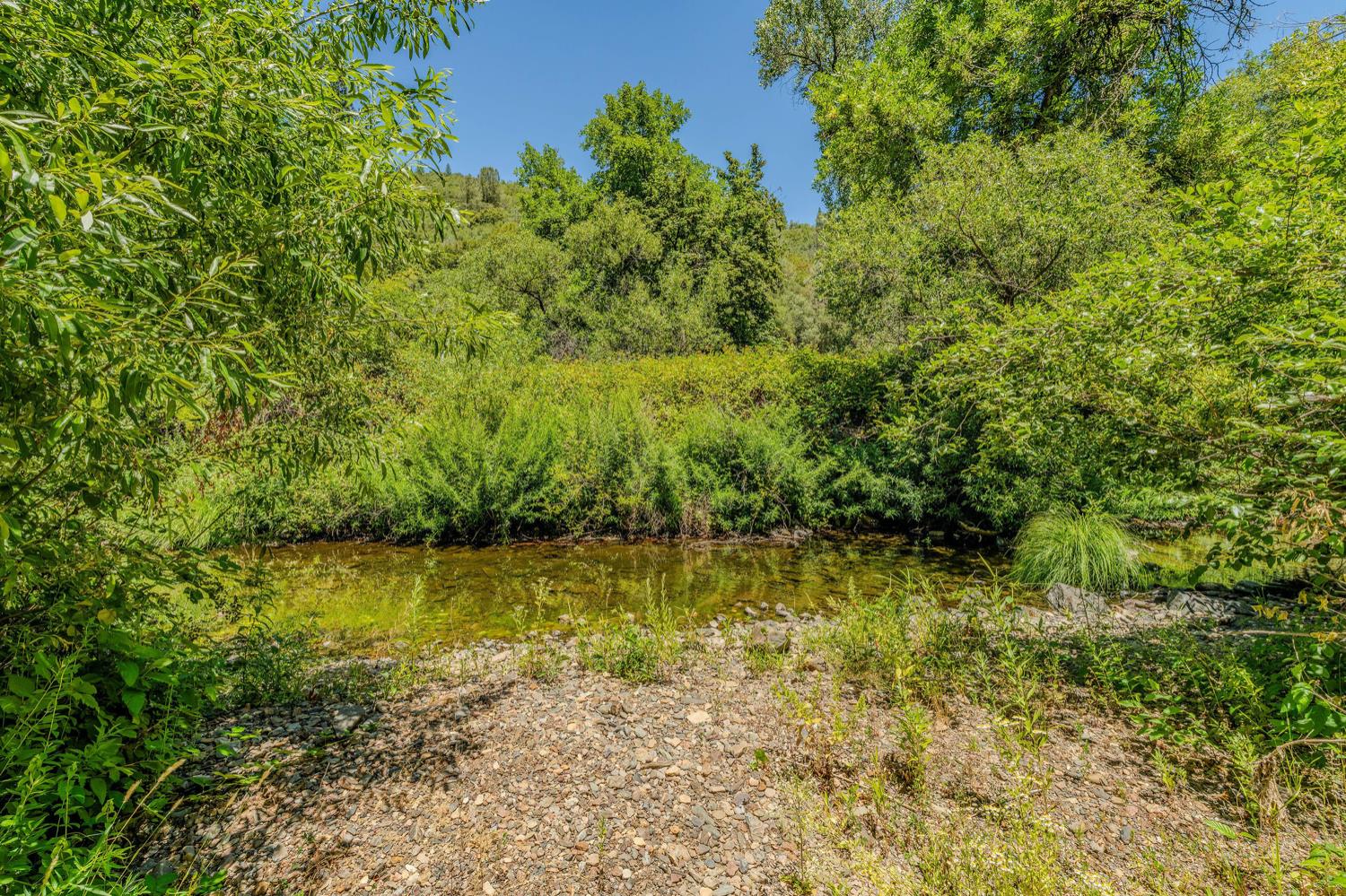 16000 Sutter Creek Road Sutter Creek, CA 95685 - Photo 56 of 80 a view of a lake view with a tree
