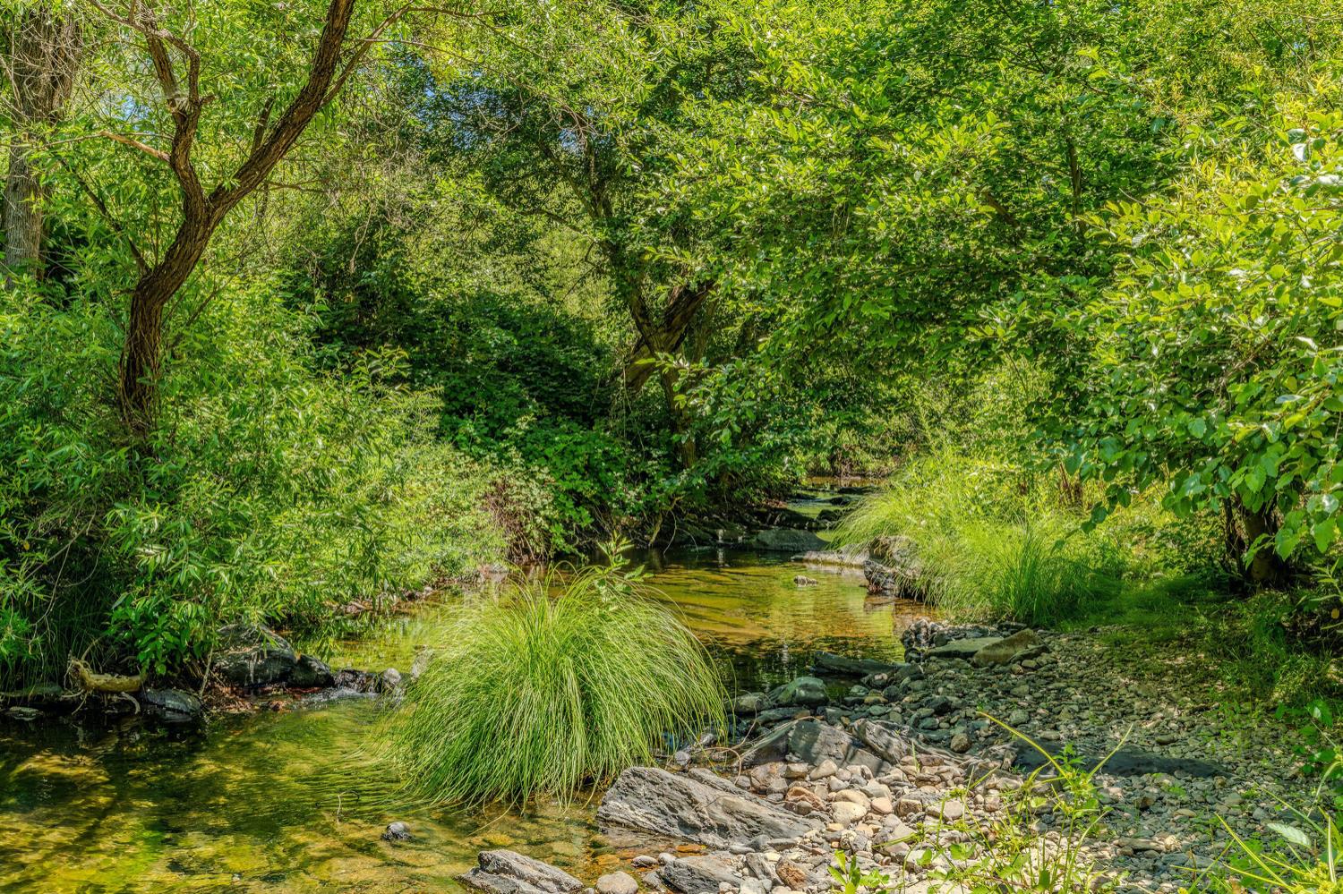 16000 Sutter Creek Road Sutter Creek, CA 95685 - Photo 57 of 80