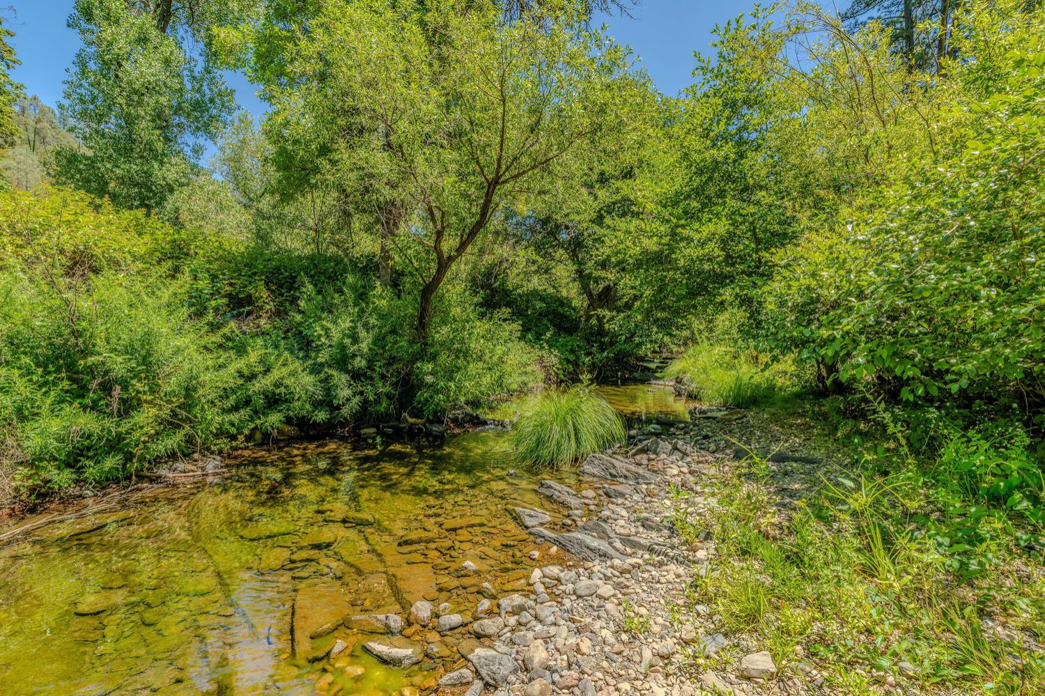 16000 Sutter Creek Road Sutter Creek, CA 95685 - Photo 60 of 80 a view of a yard with plants and large trees