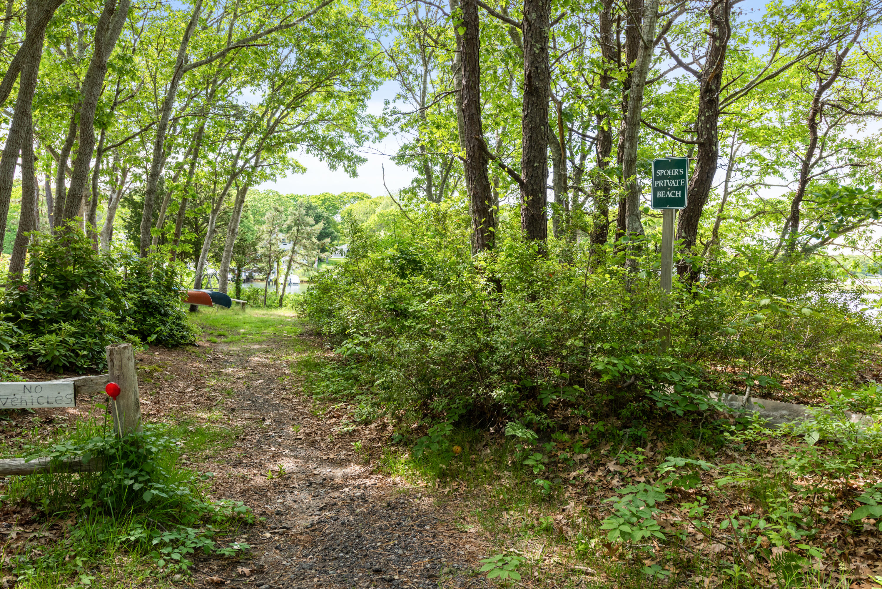 305 Monomoscoy Road Mashpee, MA 02649 - Photo 35 of 49 a view of outdoor space and trees all around
