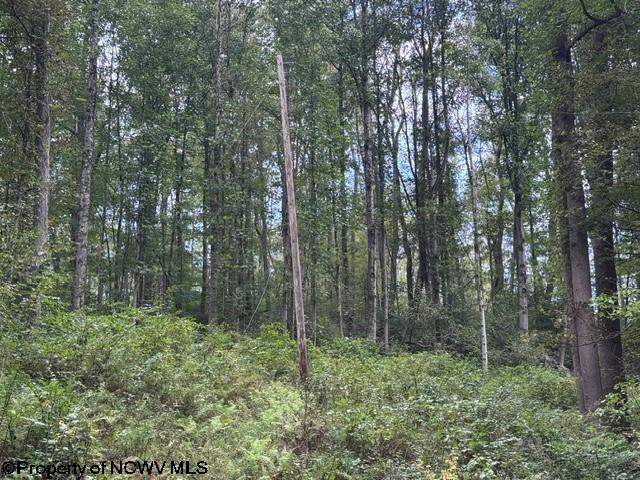 Tbd Massie Hollow Road Rivesville, WV 26588 - Photo 17 of 26 Gallery Image 17