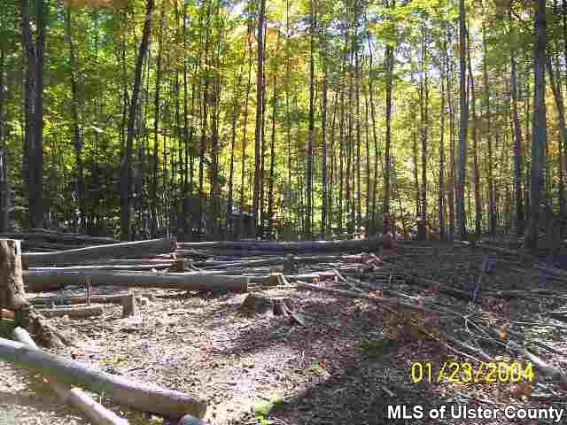 Tbd Granite Road Kerhonkson, NY 12446 - Photo 1 of 2 Photo 2
