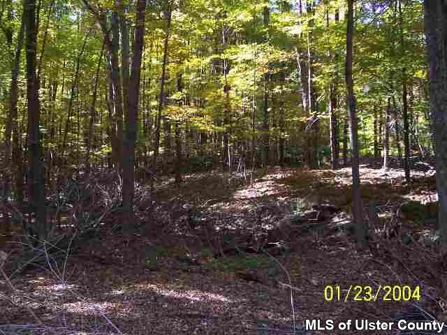 Tbd Granite Road Kerhonkson, NY 12446 - Photo 2 of 2 Photo 3