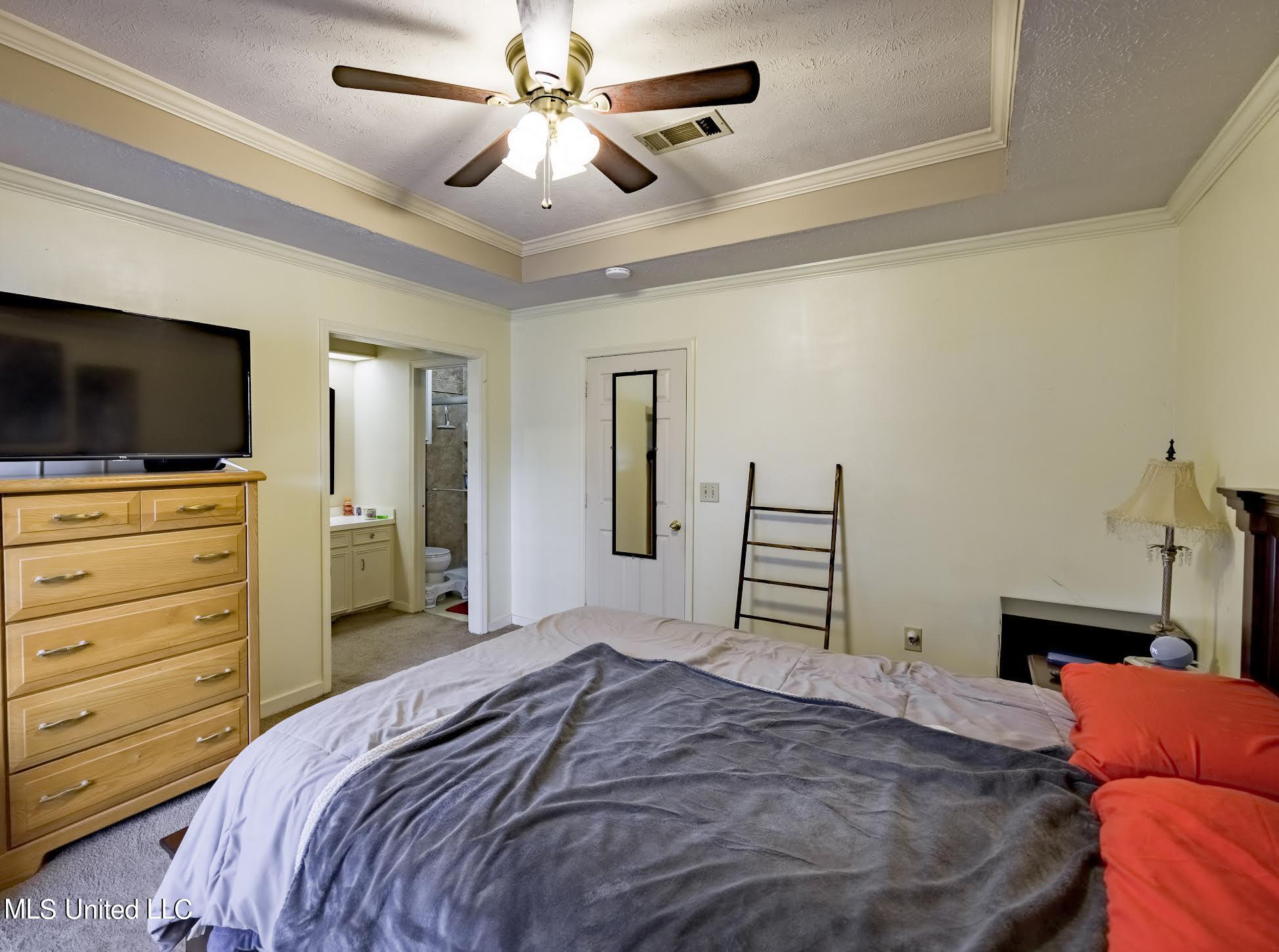 539 Trace View Road Madison, MS 39110 - Photo 16 of 28 1-21