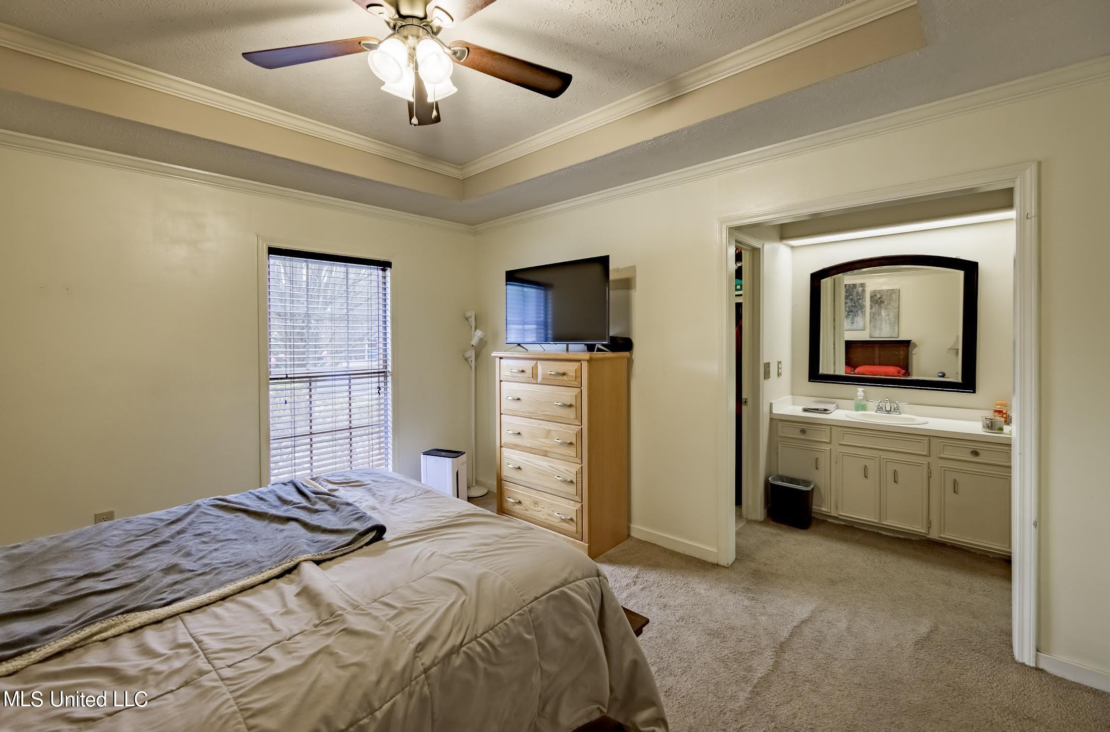539 Trace View Road Madison, MS 39110 - Photo 17 of 28 1-19