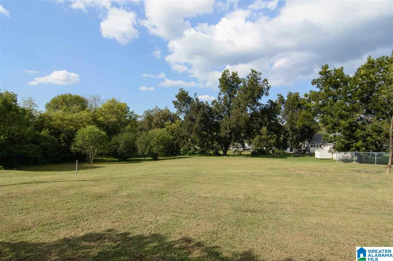 705 1st Avenue Ragland, AL 35131 - Photo 27 of 28