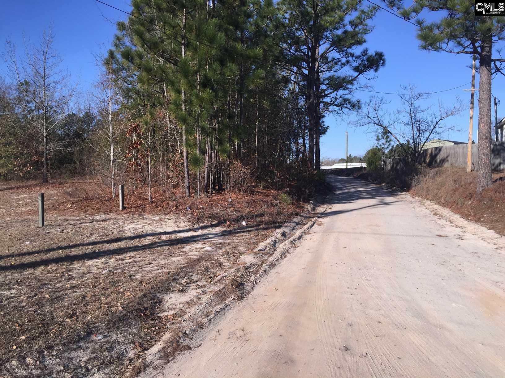 111 Allenvalley Road Gaston, SC 29053 - Photo 4 of 19