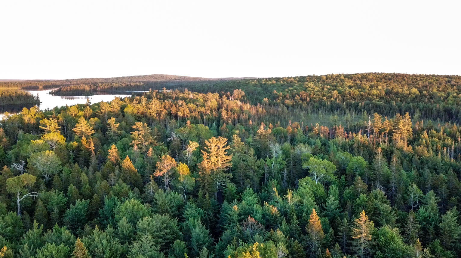 Lot 103 Deer Haven Road Wesley, ME 04686 - Photo 21 of 30 Sunset