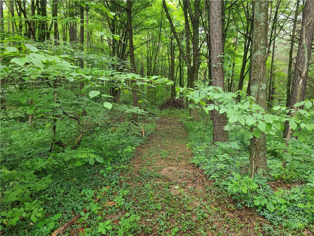 8265 Garrity Road Seymour, IN 47274 - Photo 10 of 30 Gallery Image 10