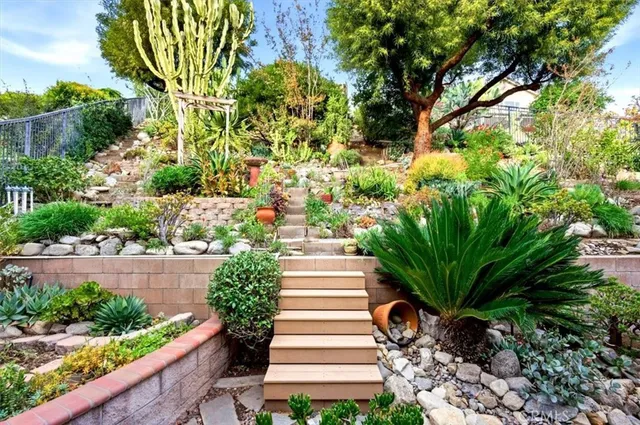 a view of a garden with a tree