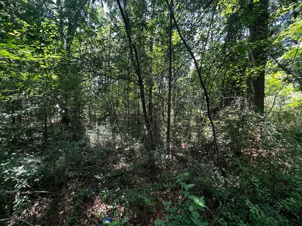 $360,000 | 0 Bells Highway, Walterboro, SC 29488