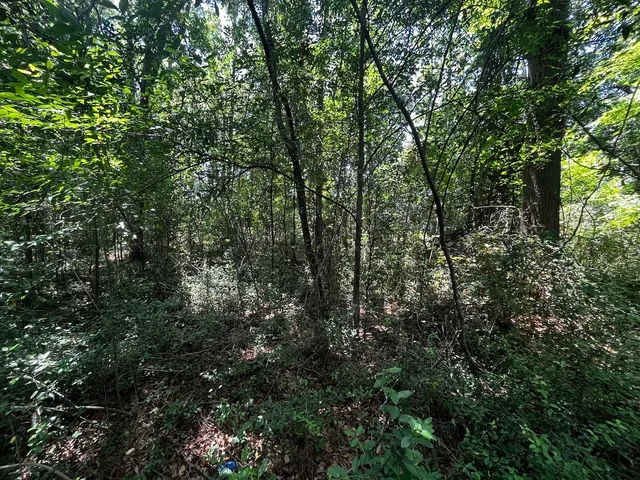 $360,000 | 0 Bells Highway, Walterboro, SC 29488