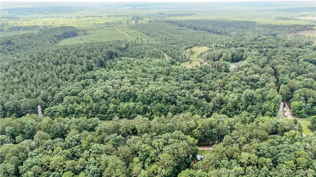 an aerial view of residential houses with outdoor space and trees