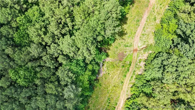 a view of a garden with plants