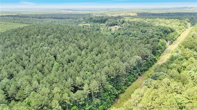 a view of a yard with an outdoor space