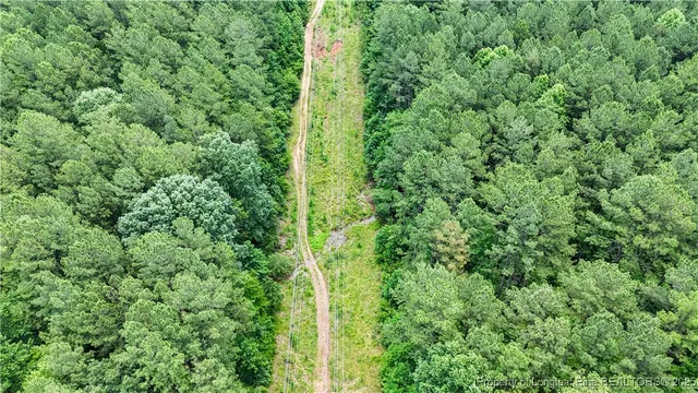 a view of a lush green forest with lots of trees