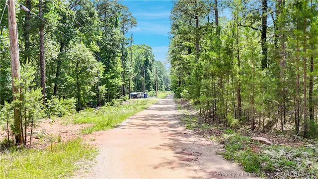a view of a pathway both side of yard