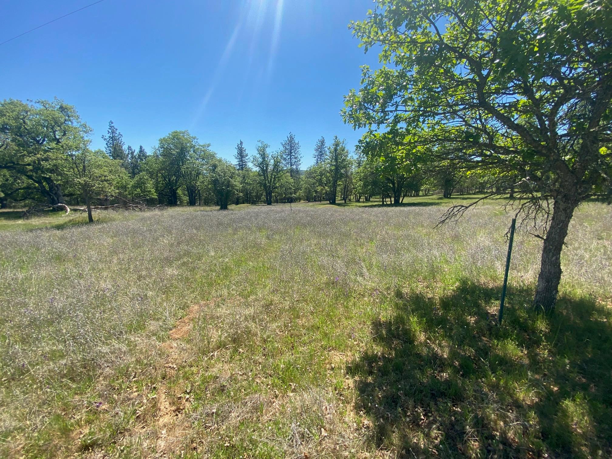 13067 Duggan Road Gold Hill, OR 97525 - Photo 5 of 11 Prior Homesite 1